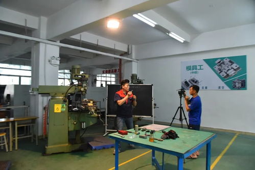 創(chuàng)新培訓(xùn)服務(wù)企業(yè) 寶山技工全面啟動(dòng)企業(yè)適崗培訓(xùn)工作，聚焦信息技術(shù)咨詢服務(wù)